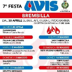 Festa Avis