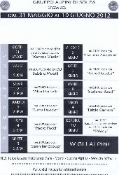 Festa degli alpini