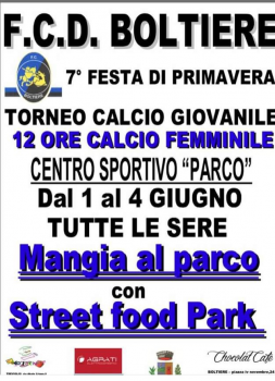 Festa della pallavolo