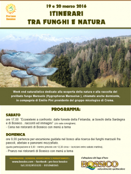 Itinerari tra funghi e natura