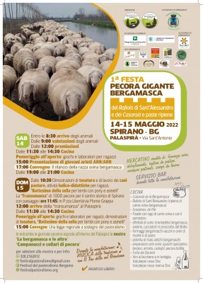 1a FESTA della pecora gigante BERGAMASCA