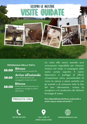 Visite guidate