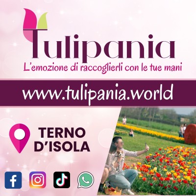 TULIPANIA 2025: FLOWER & FOOD FESTIVAL – STREET FOOD CON INGRESSO GRATUITO!