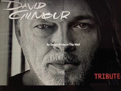 David Gilmour Tribute by Seven Bricks in the Wall